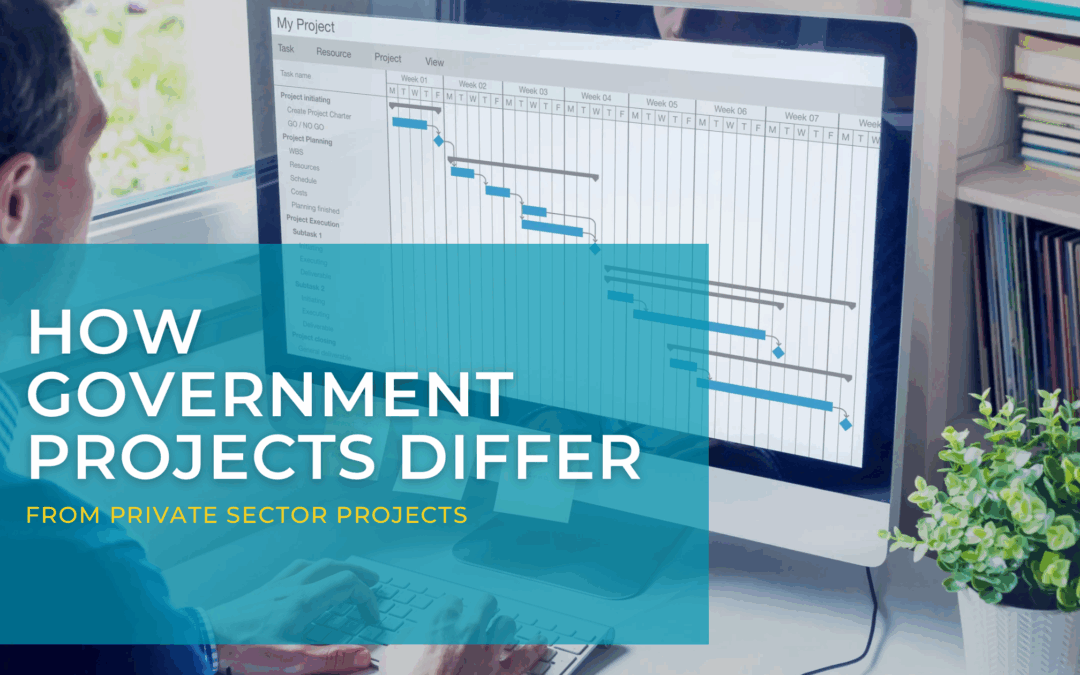 How Government Projects Differ from Private Sector Projects